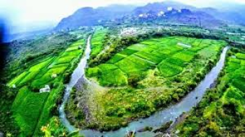 الخضراء خط جبن