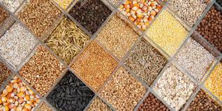 البذور بانواعها