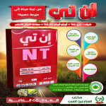 إن تي