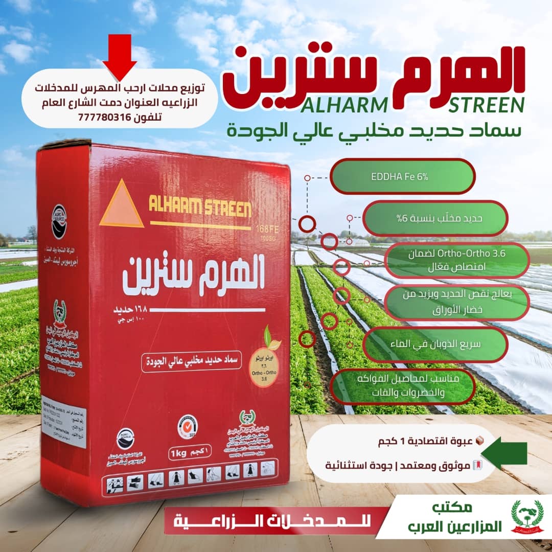 الهرم سترين